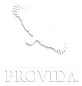 Fundación Pro Vida